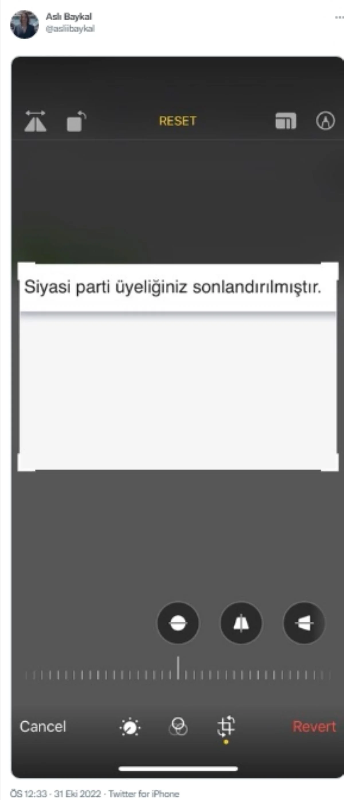 aslı baykal tweet