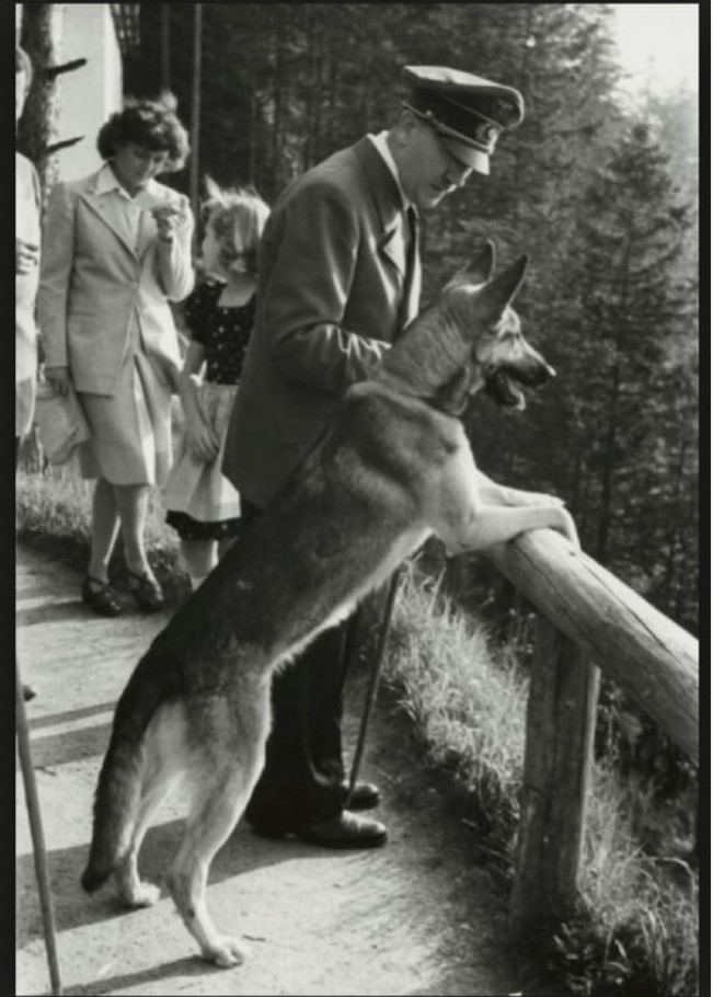 güncel foto hitler 1