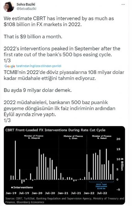 selva baziki 1