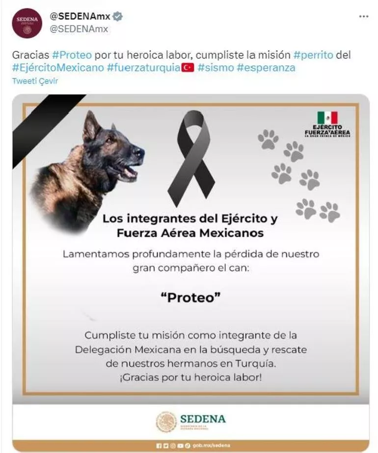 proteo-1