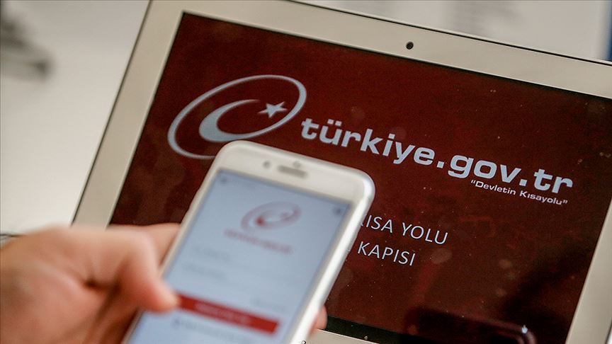 e devlet1
