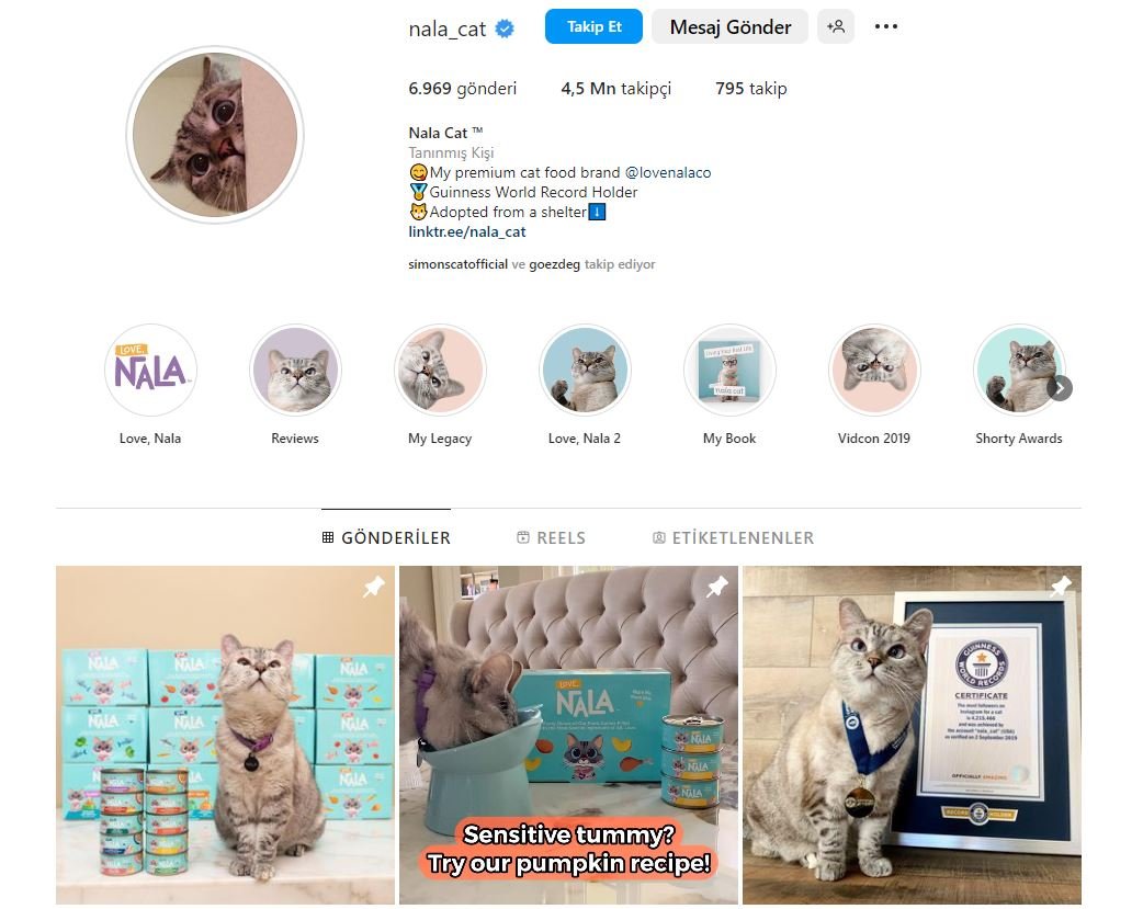 nala-instagram