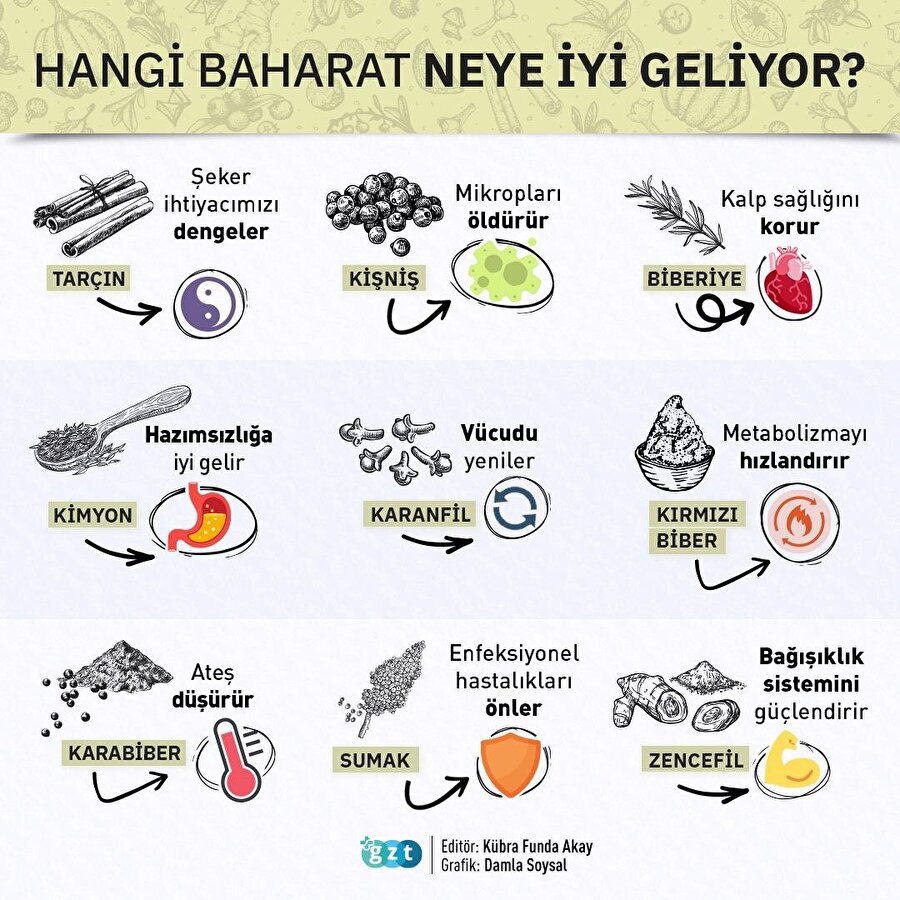 baharat yararı