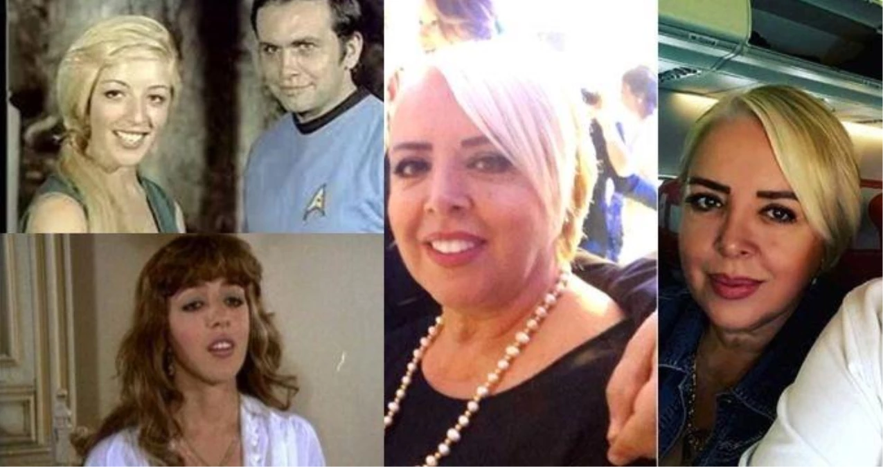 nermin denizci