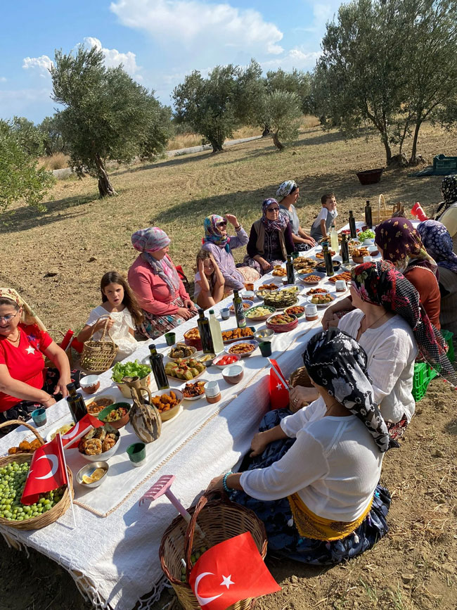 zeytin-1
