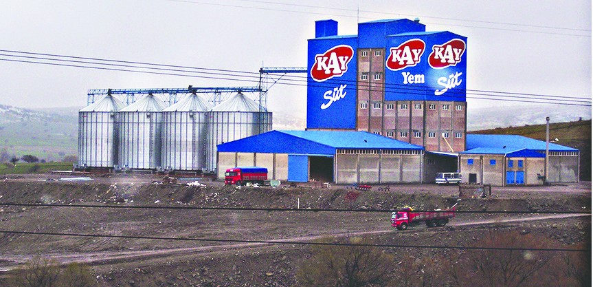 Kay1