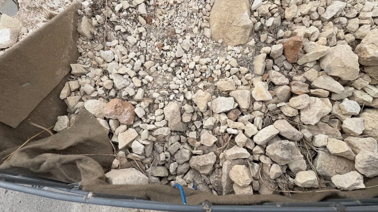 2337887829629217350 2