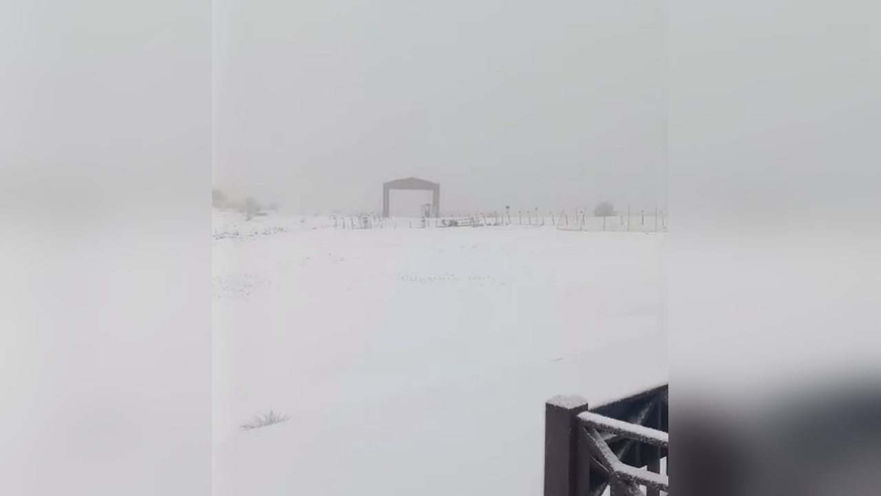 182421 2