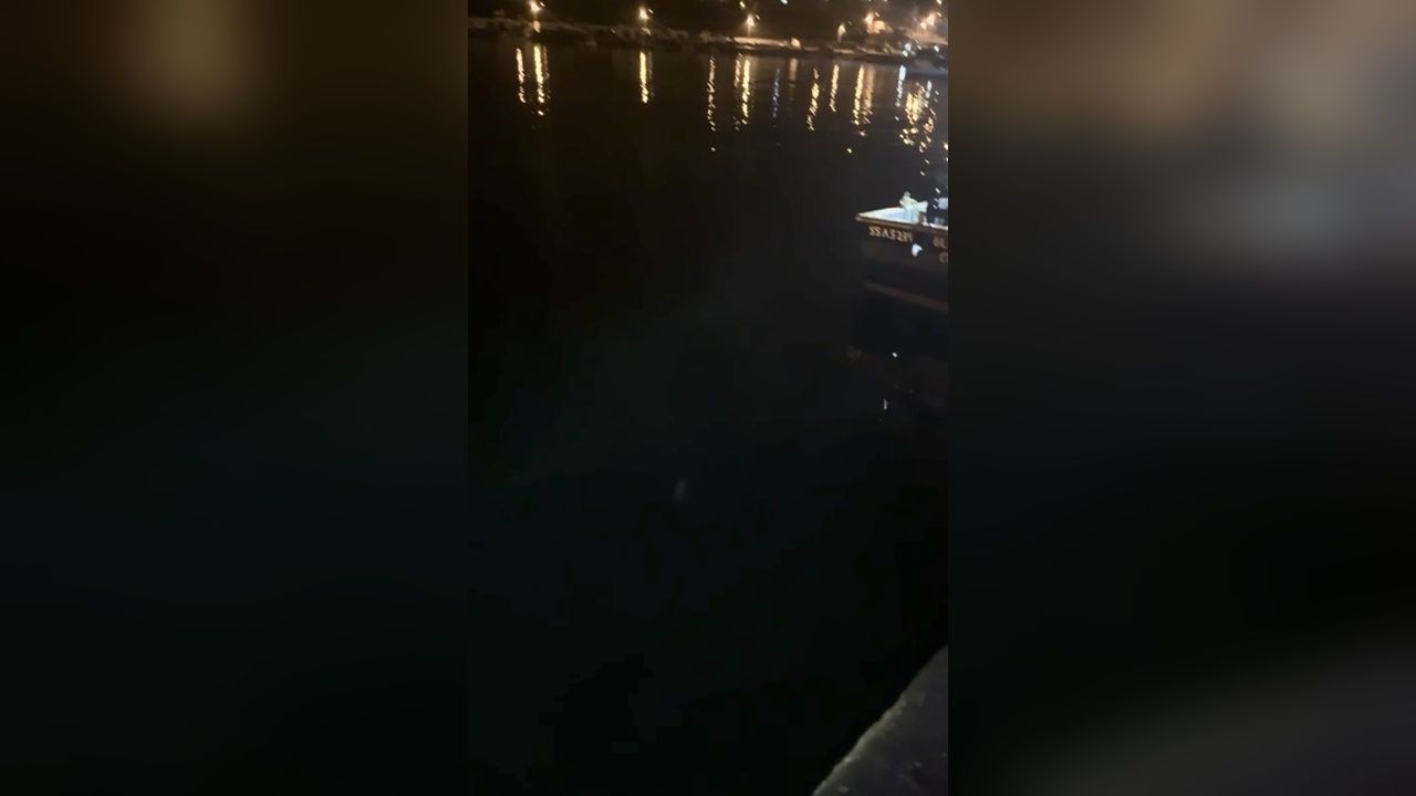 188738 2-1