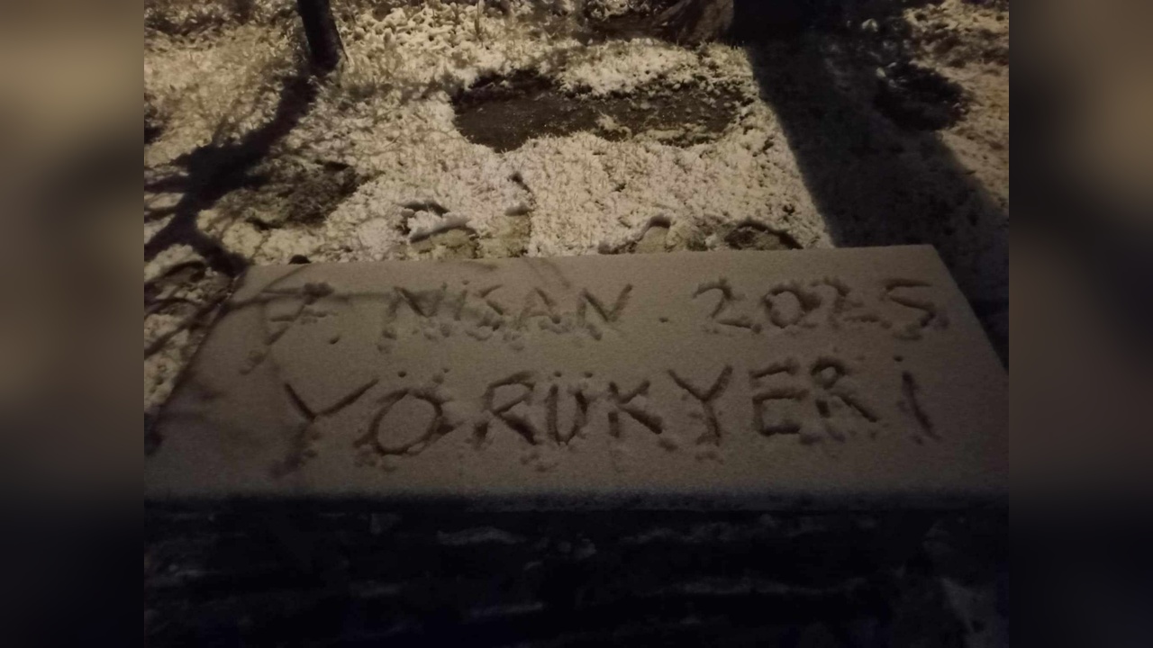191778 2