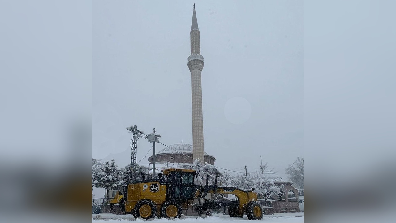 195005 2