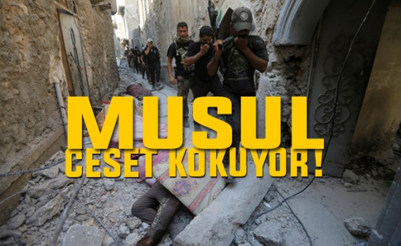 Musul ceset kokuyor