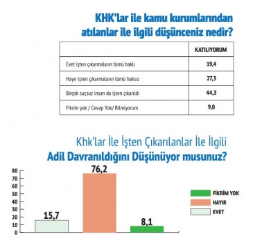 Mart 2017 referandum anketi