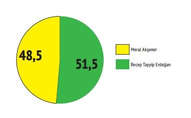 Mart 2017 referandum anketi
