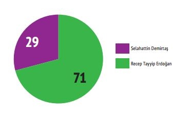 Mart 2017 referandum anketi