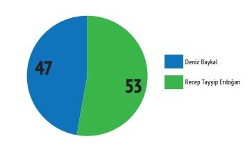Mart 2017 referandum anketi