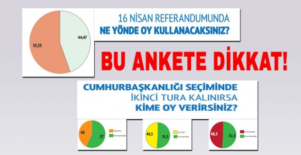Mart 2017 referandum anketi
