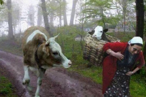Günün Fotoğrafları