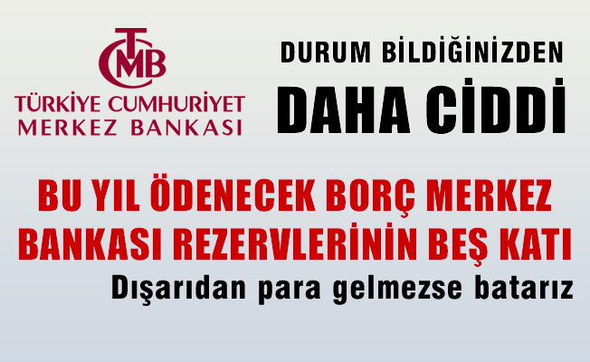 Bu Yil Odenecek Borc Merkez Bankasi Nin Rezervinin Bes Kati