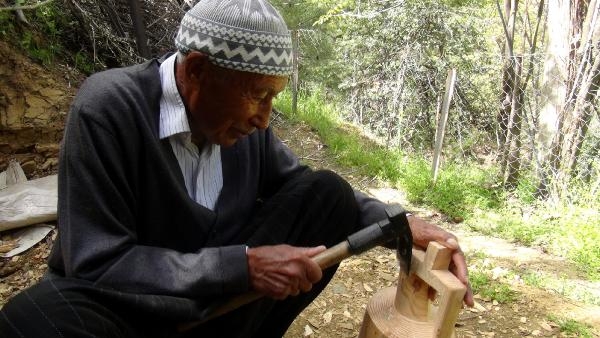 67 yıldır çam ağacına şekil veriyor 67 yıldır çam ağacına şekil veriyor