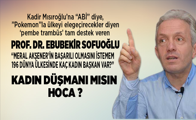 Prof Dr Ebubekir Sofuoglu Aksener In Basarili Olmasini Istemem 196 Dunya Ulkesinde Kac Kadin Baskan Var