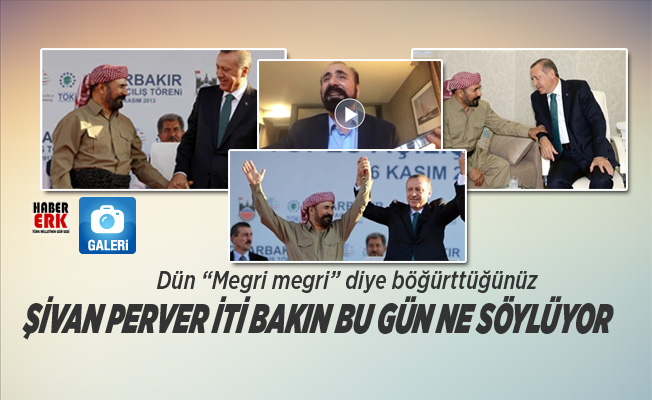 el ele goz goze olan sivan perver