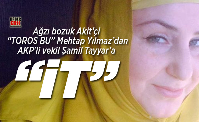 Ağzı bozuk Akit'çi "TOROS BU" Mehtap Yılmaz AKP'li vekil ...