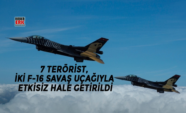 Tunceli'de 7 terörist etkisiz hale getirildi