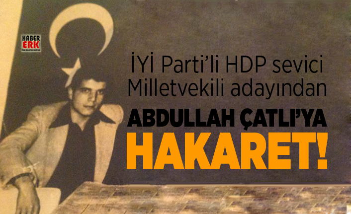 iyi parti li hdp sevici milletvekili