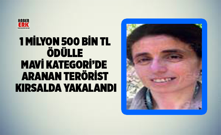 1 milyon 500 bin TL ödülle Mavi Kategori’de aranan terörist kırsalda yakalandı