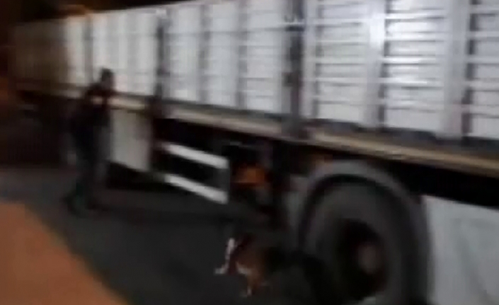 Dedektör köpek 9,5 kilo metamfetamin buldu