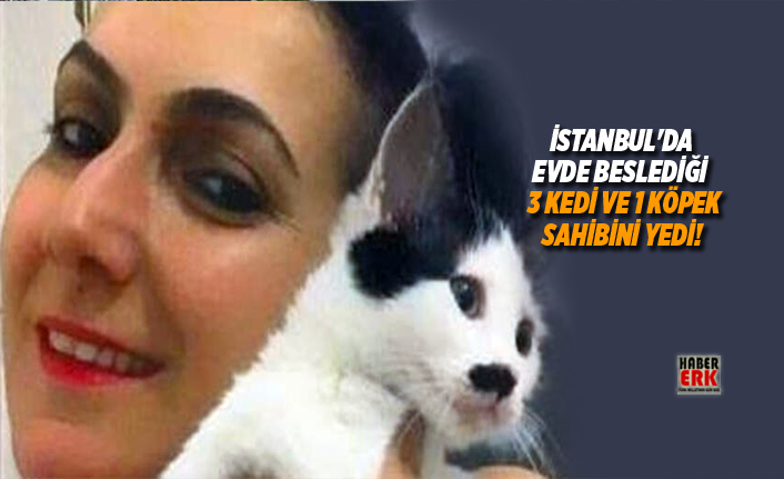 kedi ve 1 kopek sahibini yedi