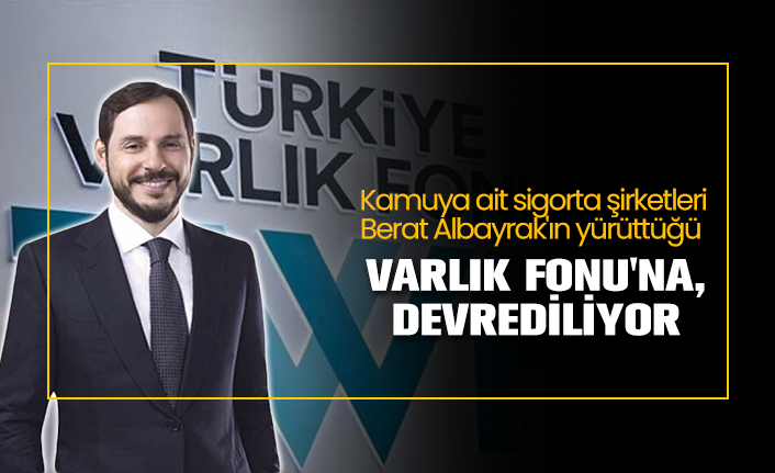 kamuya ait sigorta sirketleri berat