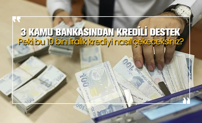 Ziraat Bankası, Halkbank ve Vakıfbank'tan 10 bin TL'li kredi nasıl çekilecek?