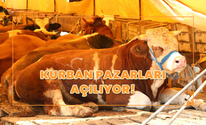 Istanbul Da Kurban Satislari 16 Temmuz Da Basliyor
