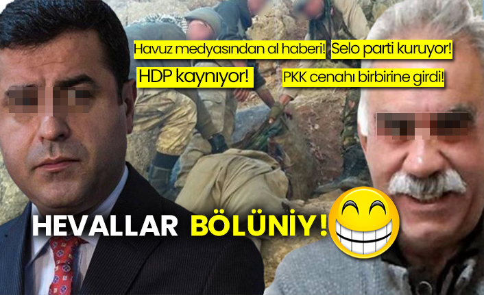 akp nin havuz medyasi yazdi selahattin demirtas parti kuruyor