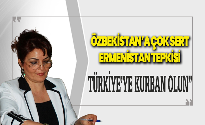 sert ermenistan tepkisi