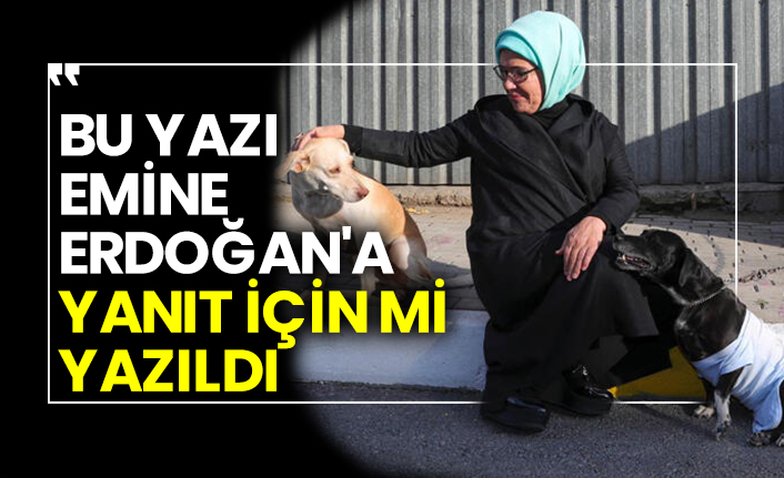 bu yazi emine erdogan a yanit icin mi