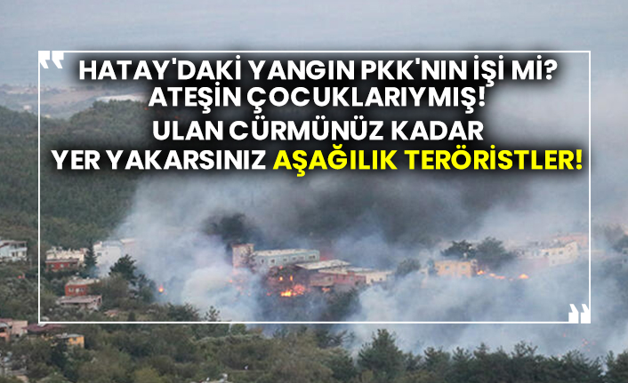 Hatay'daki yangın PKK'nın işi mi?