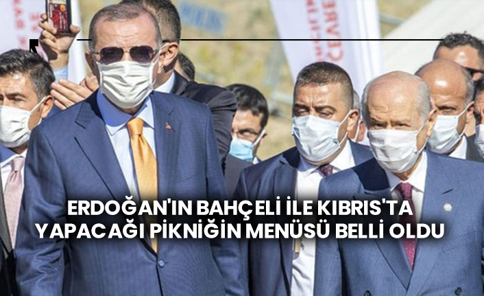 Erdogan In Bahceli Ile Kibris Ta Yapacagi Piknigin Menusu Belli Oldu