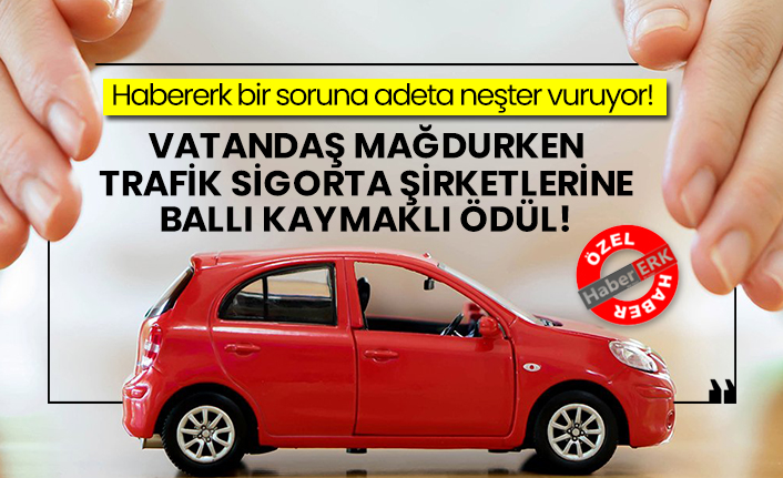 habererk bir soruna adeta nester