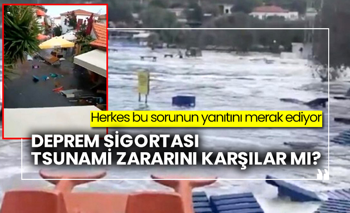 Herkes Bu Sorunun Yanitini Merak Ediyor Deprem Sigortasi Tsunami Zararini Karsilar Mi