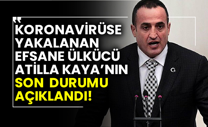atilla kaya