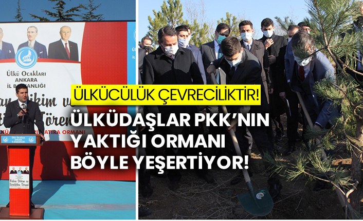 Ülküdaşlar PKK’nın yaktığı ormanı böyle yeşertiyor!