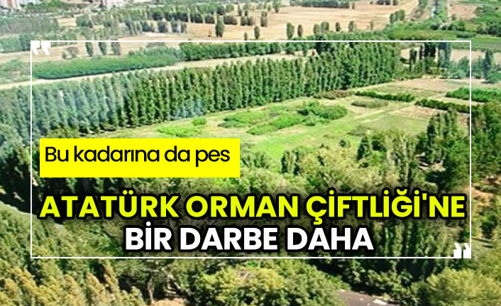 Ankara’nın merkezindeki Atatürk Orman Çiftliği'ne bir darbe daha! Bu kadarına da pes