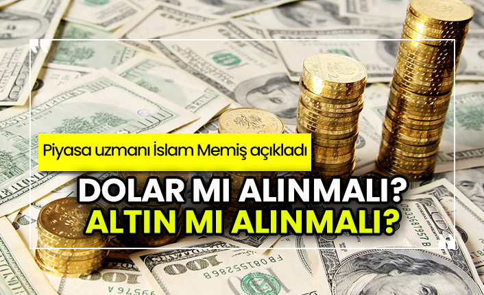 Dolar Mi Alinmali Altin Mi Alinmali Piyasa Uzmani Islam Memis Acikladi