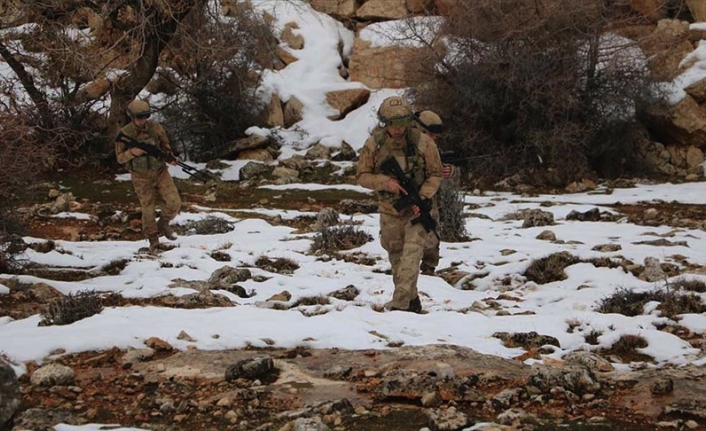 Bitlis ve Siirt'te 'Eren-11 Sehi Ormanları' operasyonu başlatıldı