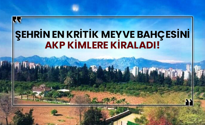 Şehrin en kritik meyve bahçesini AKP kimlere kiraladı!