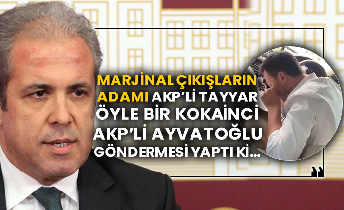 Marjinal çıkışların adamı AKP’li Şamil Tayyar öyle bir kokainci AKP’li Ayvatoğlu göndermesi yaptı ki…