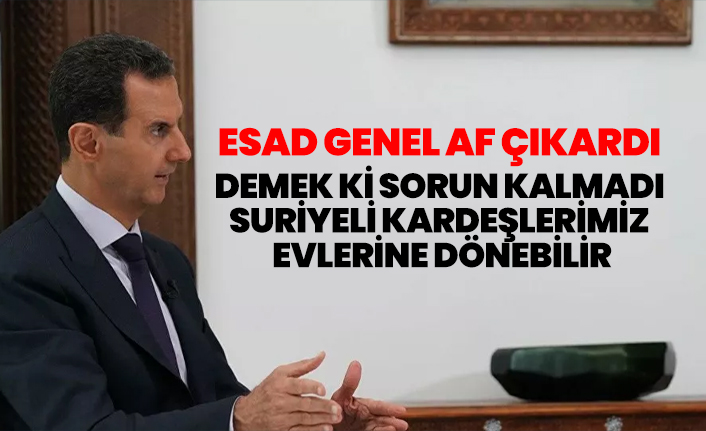 https www habererk com dunya esad genel af cikardi demek ki sorun kalmadi suriyeli kardeslerimiz h145919 html